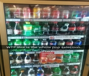 2014 LA CA MiscPics 046